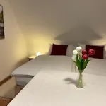 Aparthotel Schuster's Alpenpanorama Seewiesen