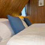Schuster's Alpenpanorama Aparthotel