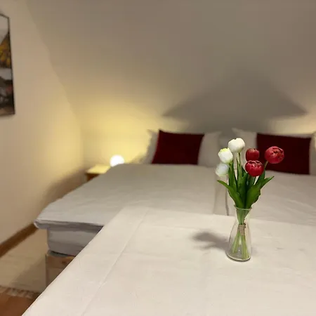 公寓式酒店 Schuster's Alpenpanorama Seewiesen