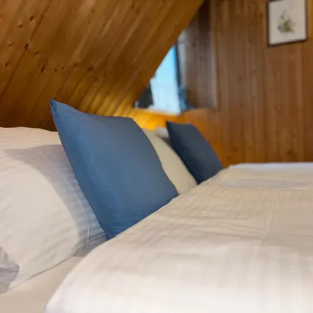 Schuster's Alpenpanorama Aparthotel