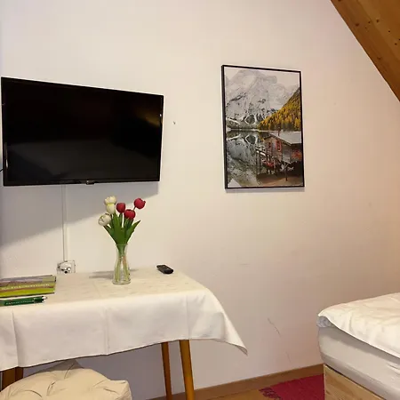 Schuster's Alpenpanorama شقة فندقية