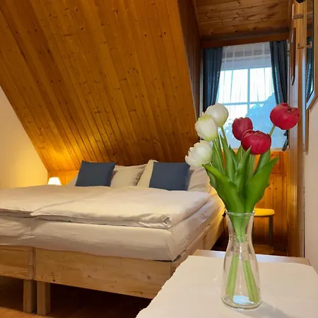 Schuster's Alpenpanorama Appart hôtel