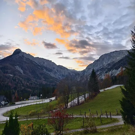 Schuster's Alpenpanorama Appart hôtel 3*