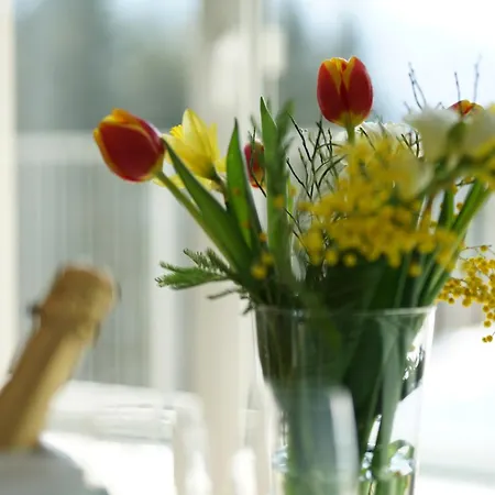 Schuster's Alpenpanorama Appart hôtel Seewiesen