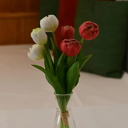 Schuster's Alpenpanorama 3*