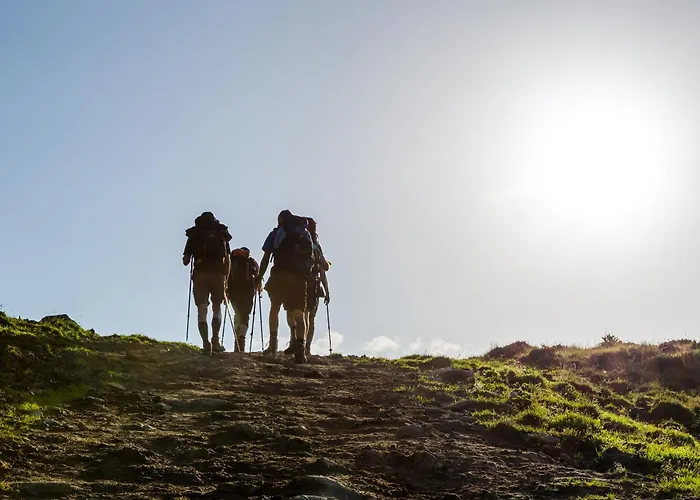 Schuster's Alpenpanorama Seewiesen