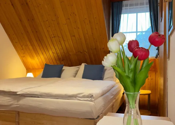 Schuster's Alpenpanorama Aparthotel