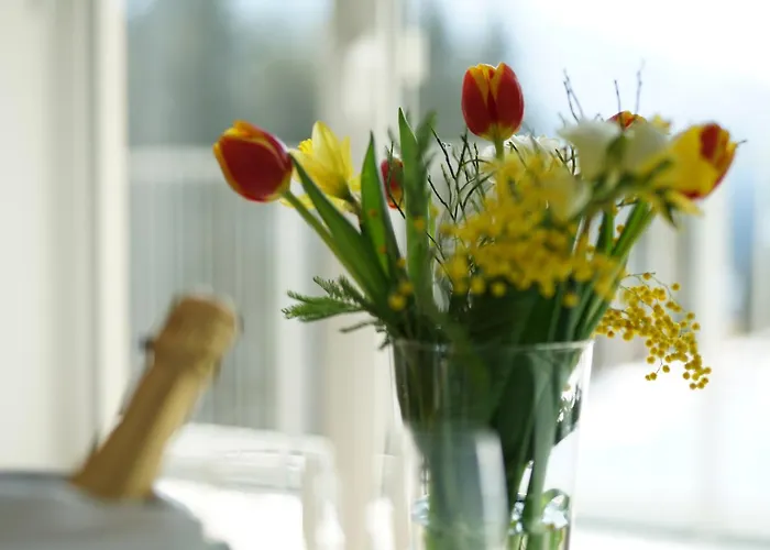 Schuster's Alpenpanorama Aparthotel Seewiesen