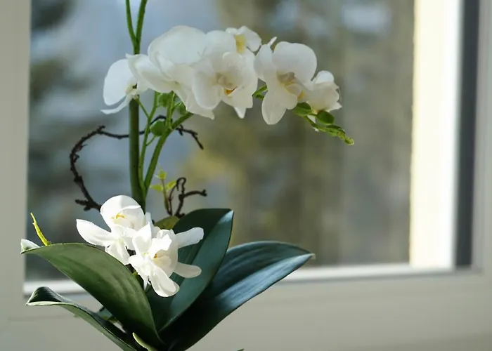 Aparthotel Schuster's Alpenpanorama Seewiesen